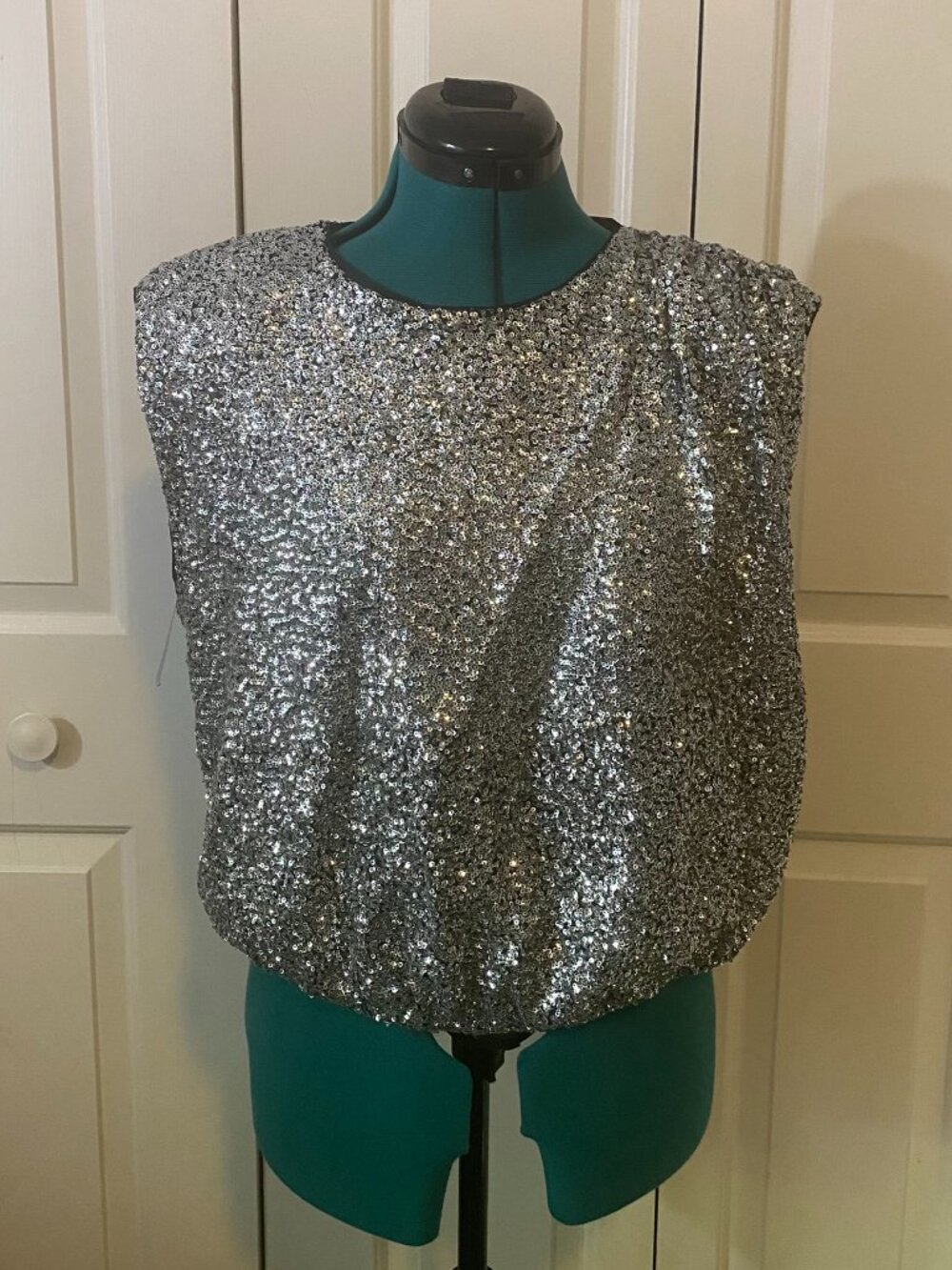 Express Silver Sequin Party Top